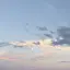 mのプロフィール画像