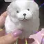 彩夏のプロフィール画像