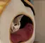 yuusukeのプロフィール画像