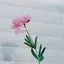 ：）のプロフィール画像