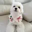 もえのプロフィール画像
