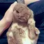 ひろとのプロフィール画像
