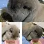 Kのプロフィール画像