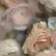 れぴのプロフィール画像