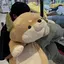 あおっちのプロフィール画像