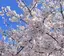 yunaのプロフィール画像