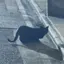ぽのプロフィール画像