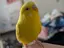 ジオジオのプロフィール画像