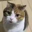 りりのプロフィール画像