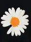 EMのプロフィール画像