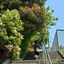 仁菜のプロフィール画像