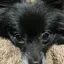 yuki.のプロフィール画像