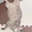 はるのプロフィール画像