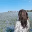 きちゃんのプロフィール画像
