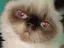 nanaのプロフィール画像