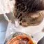mimoのプロフィール画像