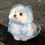 まりゅのプロフィール画像