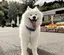 あやののプロフィール画像