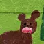 きむみのプロフィール画像