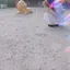 みきのプロフィール画像