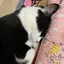 うるるのプロフィール画像