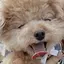 Rのプロフィール画像