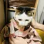 ちゃんまー☺︎のプロフィール画像