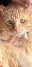 かこちゃんのプロフィール画像