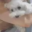 なっちゃんのプロフィール画像