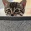 yzのプロフィール画像
