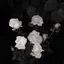 やまざきパンのプロフィール画像