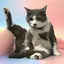 タカハシのプロフィール画像