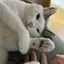 みのプロフィール画像