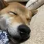 悠貴のプロフィール画像