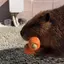 あ。のプロフィール画像