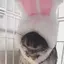 Nanaのプロフィール画像