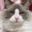 れいなのプロフィール画像