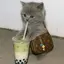 𝒴のプロフィール画像