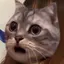 ラララのピピピのプロフィール画像