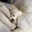 moのプロフィール画像