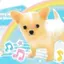 市川のプロフィール画像