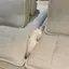 愛のプロフィール画像