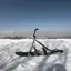 雪丸のプロフィール画像