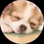 みいのプロフィール画像