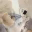 m9m9のプロフィール画像