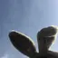 なのプロフィール画像