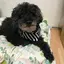 あおのプロフィール画像
