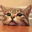 みーのプロフィール画像