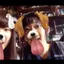 かなのプロフィール画像