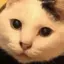 にょんのプロフィール画像